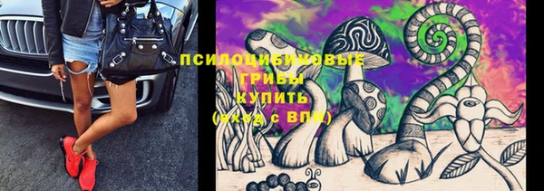 стафф Верея